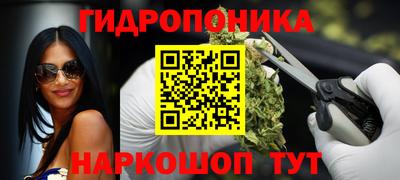 молекула духа Рузаевка